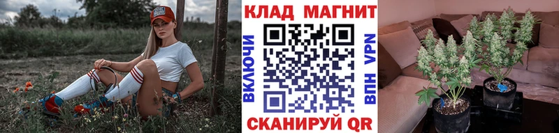 Купить Гаврилов Посад Псилоцибиновые грибы  МЕФ  Канабис  COCAIN 