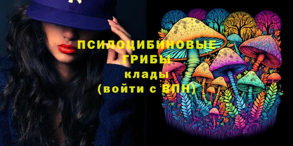 mdpv Белокуриха